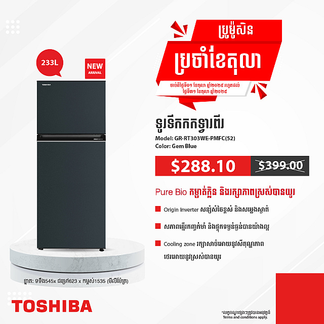 Toshiba Refrigerator (Inverter,Double door,233L)